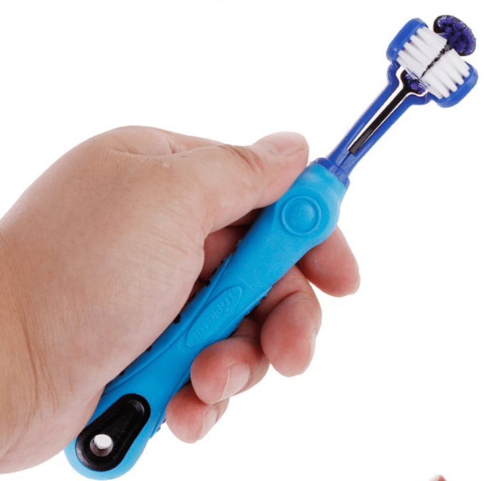 RainbowSmile Pet Plush Toothbrush: Dental Care and Tartar Cleaning Brush - The Nevermore Pet Health Products