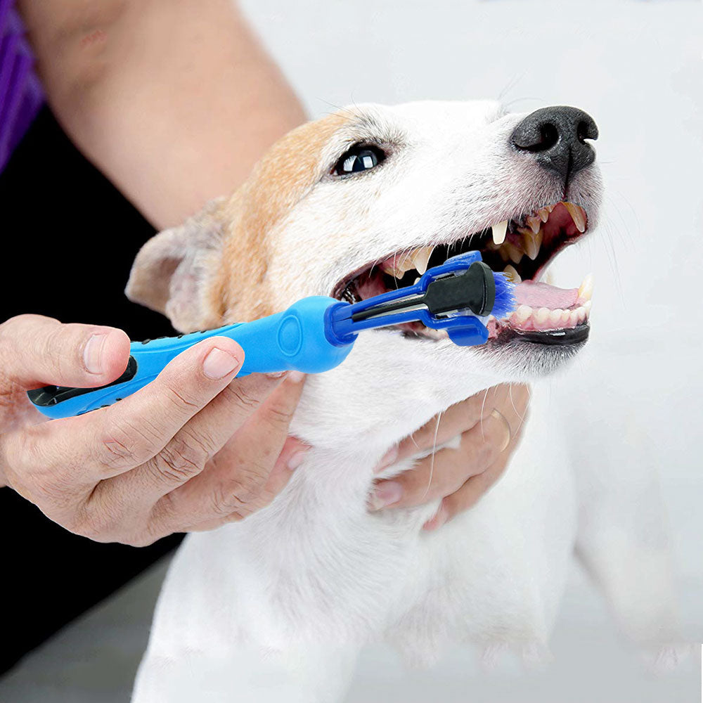 RainbowSmile Pet Plush Toothbrush: Dental Care and Tartar Cleaning Brush - The Nevermore Pet Health Products