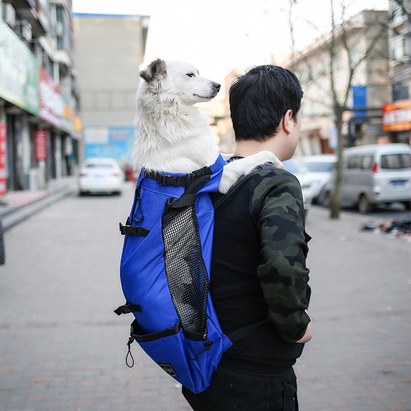 AdventurePup Dual-Shoulder Dog Carrier Backpack - The Nevermore Pet Carriers - Travel Accessories