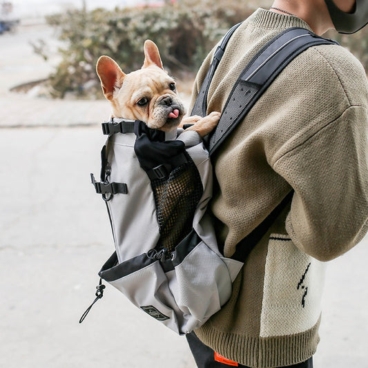 AdventurePup Dual-Shoulder Dog Carrier Backpack - The Nevermore Pet Carriers - Travel Accessories