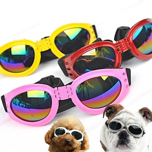 BarkLuxe - The Nevermore Sunglasses for Dogs