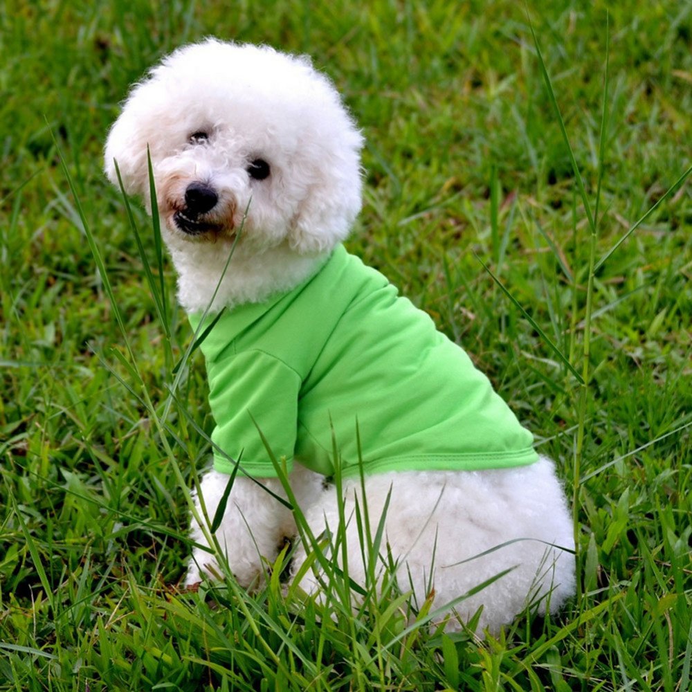 ClassicPaws Solid Color Polo Shirt: Casual and Cozy Dog T-shirt Apparel - The Nevermore Pet Apparel