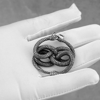 Double Snake Winding The Nevermore Gothic Titanium Steel Pendant Necklace