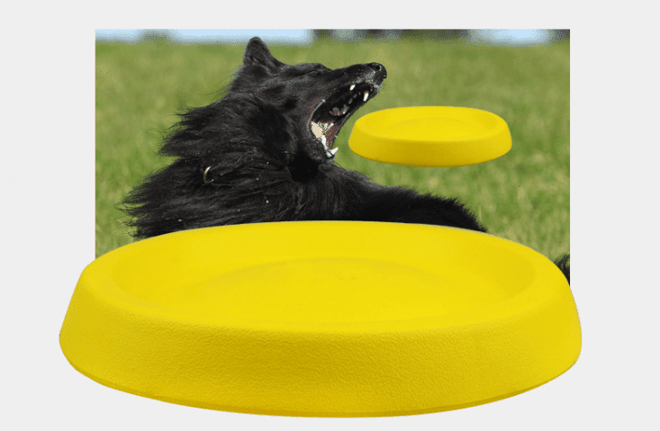 FetchMaster Dogs Throwing Plastic Toys- The Nevermore Pet Toys