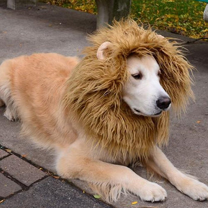 LionHeart Cosplay Costume for Large Cats and Dogs - The Nevermore Winter Warm Wig Pet Apparel