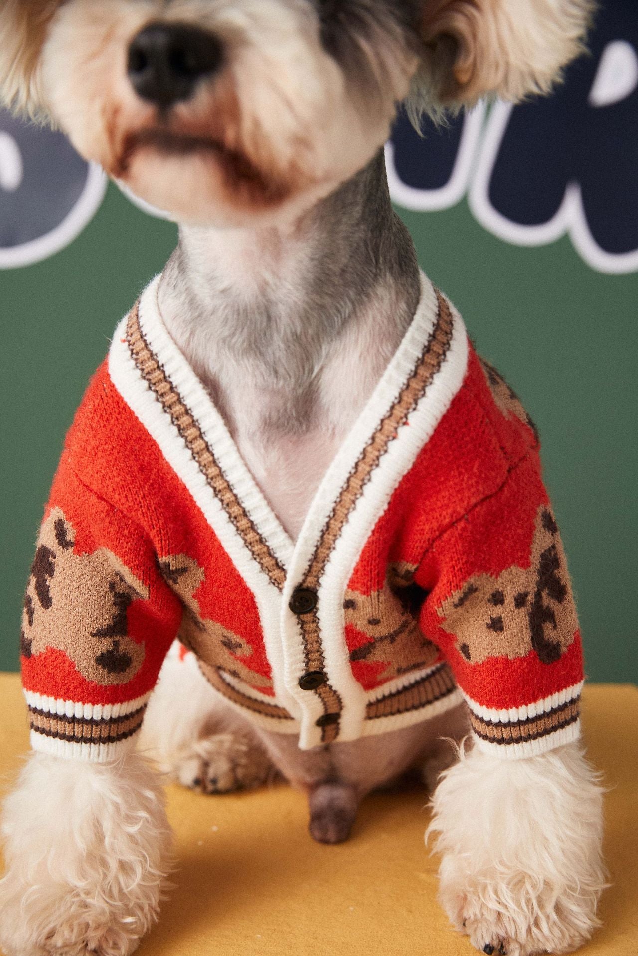 PreppyPaws V-Neck Striped Sweater for Dogs and Cats - The Nevermore Pet Apparel