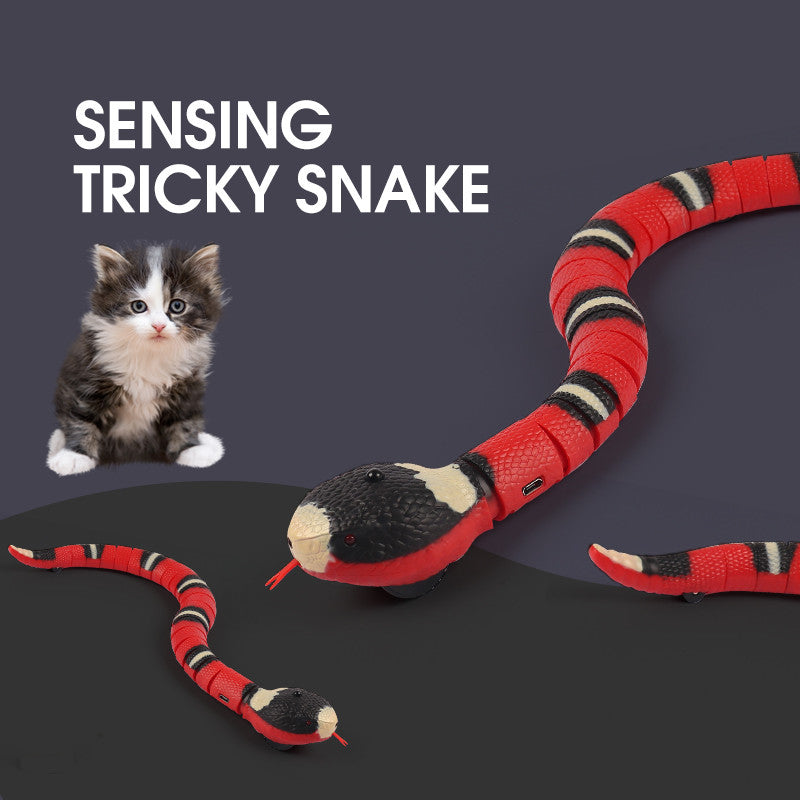 SensePlay Interactive Smart Snake Cat Toy - The Nevermore Pet Toys