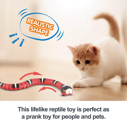 SensePlay Interactive Smart Snake Cat Toy - The Nevermore Pet Toys