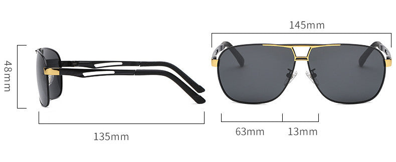 SolarSentries - The Nevermore Sunglasses for Men