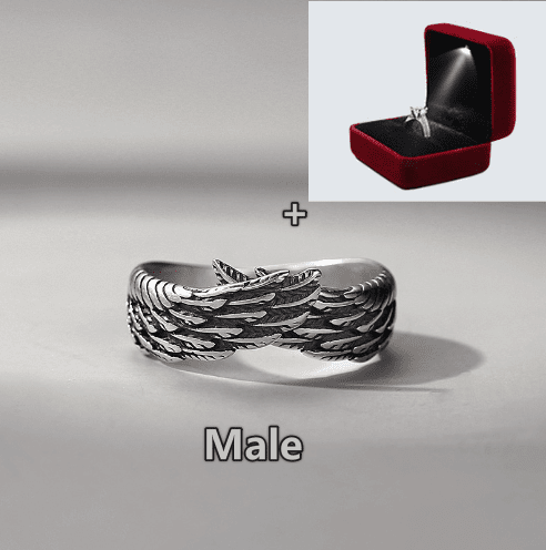Angel Wings - The Nevermore Ring – Unique Rings by Nevermore Lifestyle & Tech | Silver Male with Red Box