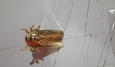 Brass Cicada - The Nevermore Adjustable Steampunk Ring