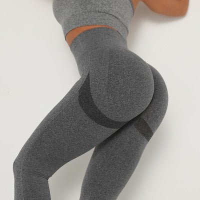 CoreSculpt - Seamless Fitness Pants by The Nevermore