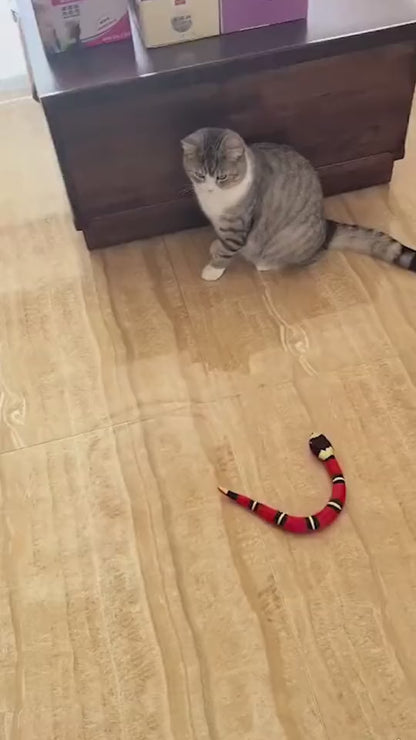 SensePlay Interactive Smart Snake Cat Toy - The Nevermore Pet Toys