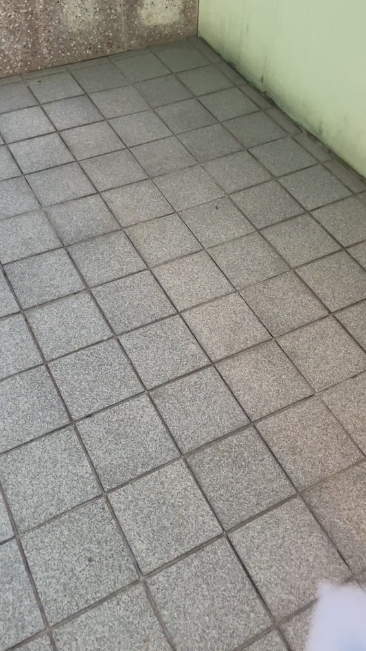 Pet Comb Brush Self Cleaning - Built-in Mist Humidifier - The Nevermore Pet Grooming Supplies