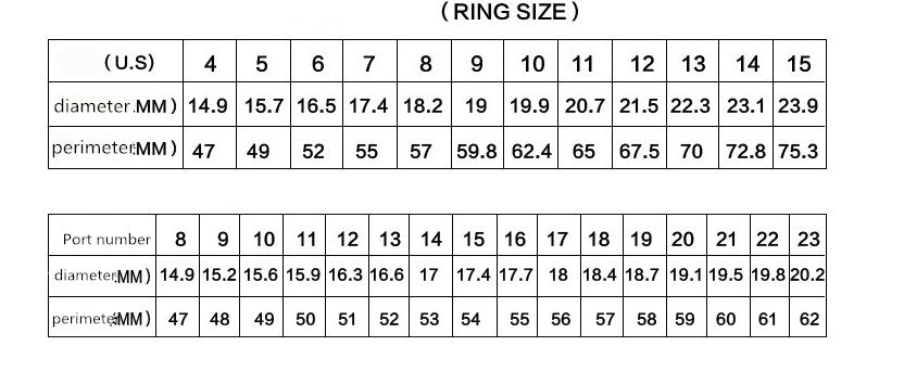 Roderick Moonlit Skull - The Nevermore Gothic Ring Titanium Steel – Unique Gothic Jewelry by Nevermore Lifestyle & Tech | Beauty code 10