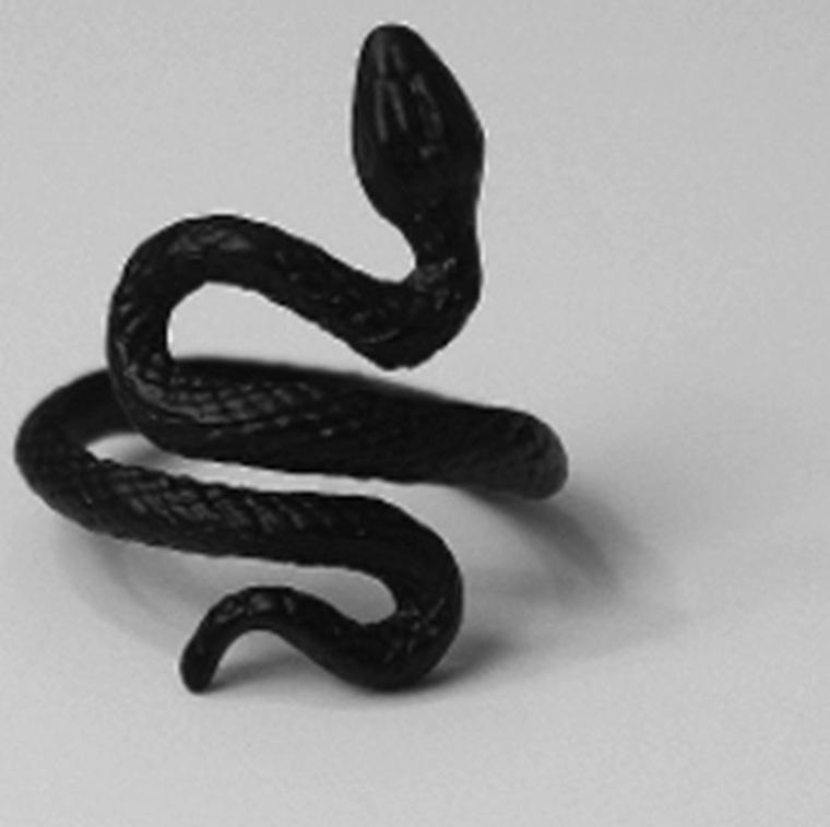 Thornvale – Snake Pattern Punk Ring Set by The Nevermore – Unique Rings by Nevermore Lifestyle & Tech | Adjustable 2 Black